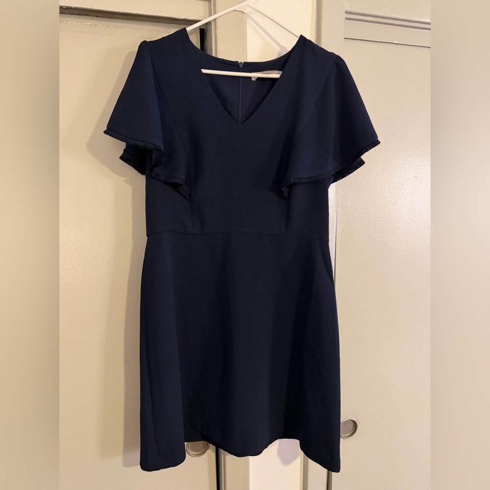 Loft Women’s Navy Dress